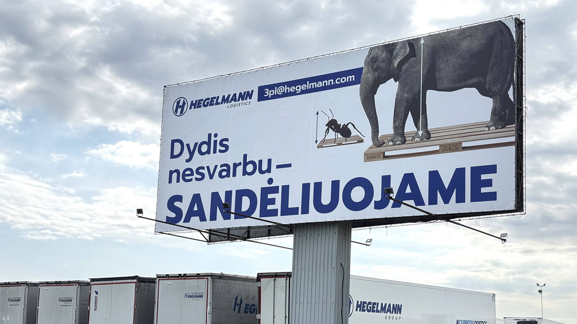 Hegelmann Logistics: Modern business